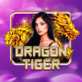 Dragon Tiger Colorplay live casino